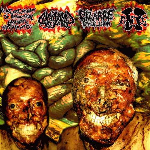 Disgorgement Of Intestinal Lymphatic Suppuration : Supersonic Disgorgement of Subarachnonid Ejaculation